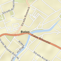 Beiuş Street Map