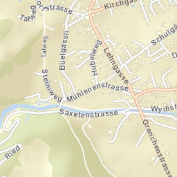 Wilderswil Street Map