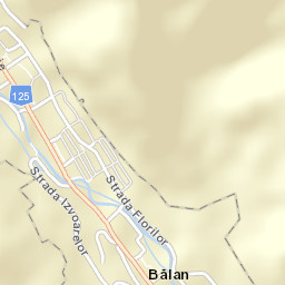 Bălan Street Map