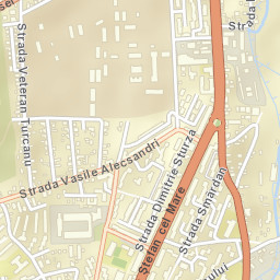 Municipiul Vaslui Street Map