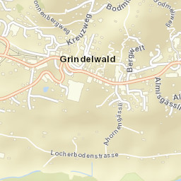 Grindelwald Street Map