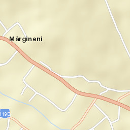 Mărgineni Street Map