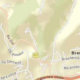 Bresternica Street Map