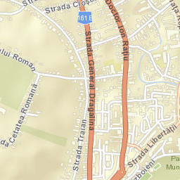Turda Street Map