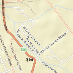 Oraş Ştei Street Map