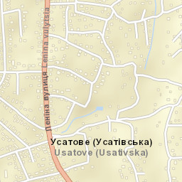 Usatove Street Map