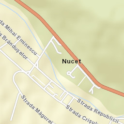 Nucet Street Map