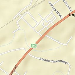 Ungheni Street Map