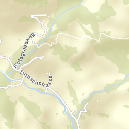 Obersimmental-Saanen District Street Map
