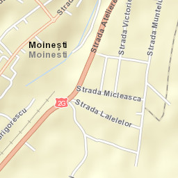 Municipiul Moineşti Street Map