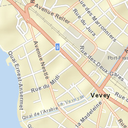 Vevey Street Map