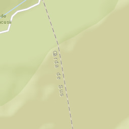 Scărişoara Street Map