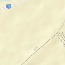 Mihăileni Street Map