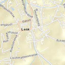 Lenk Street Map