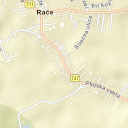 Rače Street Map