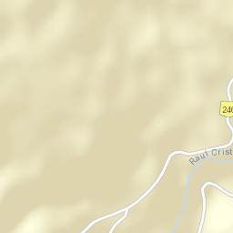 Cărpinet Street Map