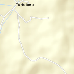 Turluianu Street Map