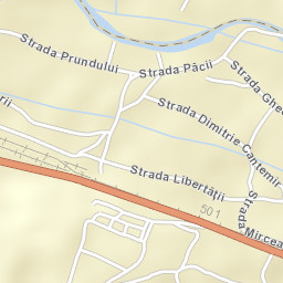 Asău Street Map