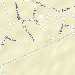 Sângeorgiu de Pădure Street Map