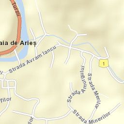 Baia de Arieş Street Map
