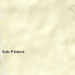 Sub Pădure Street Map