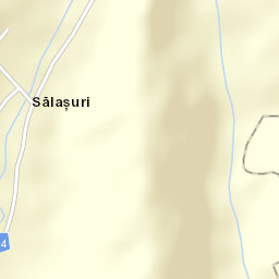 Sălașuri Street Map
