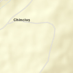 Chinciuș Street Map