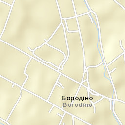 Borodino Street Map