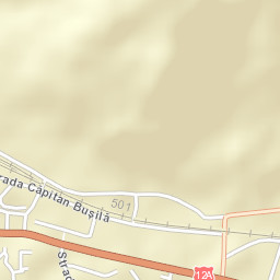 Târgu Ocna Street Map