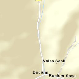 Bucium Street Map