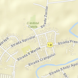Onesti Street Map