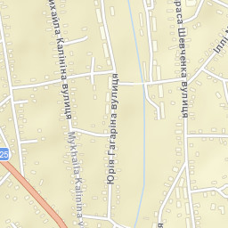 Ovidiopol Street Map