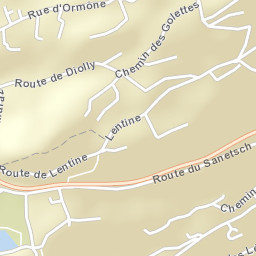 Sion District Street Map