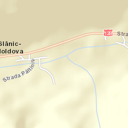 Slănic-Moldova Street Map