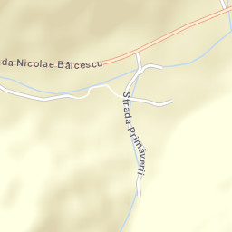 Oraş Slãnic-Moldova Street Map