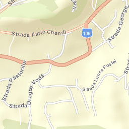 Sighișoara Street Map