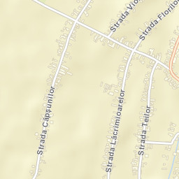 Comuna Covăsinţ Street Map