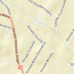 Teiuş Street Map