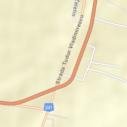 Podu Turcului Street Map