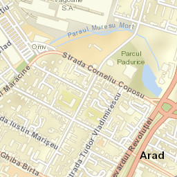 Arad Street Map