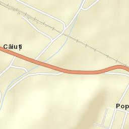 Căiuţi-Sat Street Map