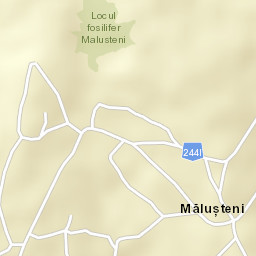 Măluşteni Street Map