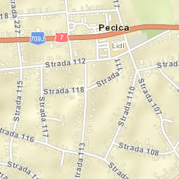 Pecica Street Map