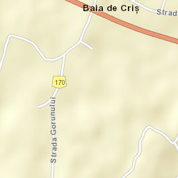 Baia de Criş Street Map