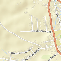 Brad Street Map