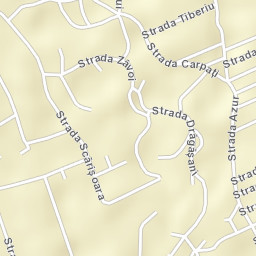 Micești Street Map