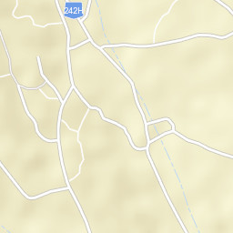 Rădești Street Map