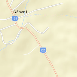 Căpeni Street Map