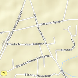 Munteni Street Map