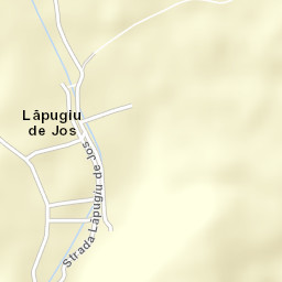 Lăpugiu de Jos Street Map